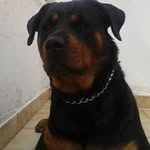 Antonio Abel Perez Perez - @antonioabelperez - Instagram
