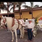 Antonio Aceves - Facebook