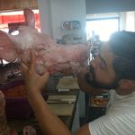 Antonio Aceves - @antonio.aceves.334 - Instagram