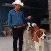 Antonio Aispuro - @antonio.aispuro4 - TikTok