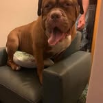 Antonio Alaimo - @alaimo5344 - Instagram