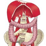 Antonio Arcos - @psico_osteopatia_organica - Instagram