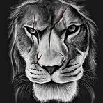 Antonio Armstrong - Facebook