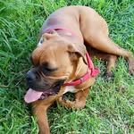 Antonio Balbás - @antoniobalbas - Instagram
