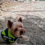 Antonio Ballester Pelegrin - @ballesterpelegrin - Instagram