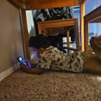 Antonio Blaylock - Facebook