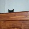 antonio_bray - @not_mw12 - TikTok