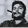 Antonio Buffa415 - @antoniobuffa971 - TikTok