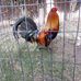 Antonio Calvillo - Facebook