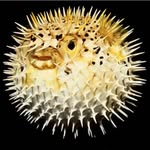 Antonio Fernández Calvillo - @antoniofello28 - Instagram