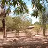 Antonio Candido - @antonio.candido13 - TikTok