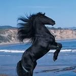 Antonio Capaldi - @antonio.capaldi.35 - Instagram