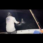 Capt.Antonio Caraballo - @antonioc24fl - Instagram