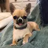 Antonio Carballo - @antonio01393 - TikTok