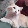 AntonioCariaga - @axmxcxv - TikTok