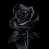 PERSON - @antoniocarter82 - TikTok