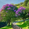 Antonio Charles - @antonio.charles010 - TikTok
