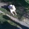 Antonio Chiarello798 - @antoniochiarello71 - TikTok
