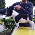Antonio Chung - @antonio.chung.3 - Instagram