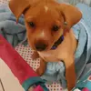Antonio Collazo - @antoniocollazo23 - TikTok