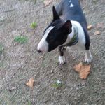 Antonio Collazo gonzalez - @antoniocollazogonzalez - Instagram