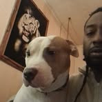 Antonio Collins - Facebook