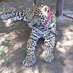 Antonio Colunga - @colunga_a - Instagram