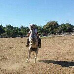 Antonio Colunga Alcaraz - @_el_compa_tony_ - Instagram