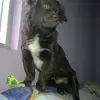 Antonio Cota - @antonio.cota5 - TikTok