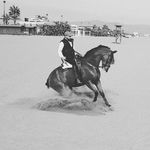 Antonio Crespo Zaragoza - @crespo.antonio - Instagram