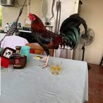 Victor Antonio Sosa Delarca - @sosadelarca - Instagram