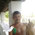 Antonio Dinis - @antonio.dinis.940 - Instagram