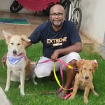 Antonio Diniz - Pet Amor e Carinho - @antoniodiniz.acdf - Instagram