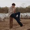 NEXTAGE DINIZ - @antonio_diniz - TikTok