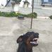 Antonio Ferro - Facebook