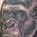 Antonio Franklin - @tonio45a - Instagram