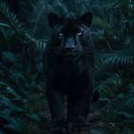 Antonio Franklin - @antonio___franklin - Instagram
