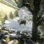 Antonio Fratto - @frattoa - Instagram