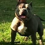 Antonio Gaines - @againes372 - Instagram