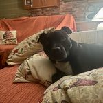 Antonio Galvez - @antoniopingui - Instagram