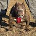 Antonio Garrett - Facebook