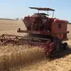 Antonio Gervasio - @antoniogervasio8 - TikTok