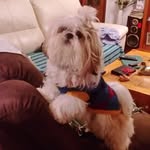 Antonio Graca - @antoniograca4 - Instagram