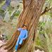 Antonio Granados - Facebook