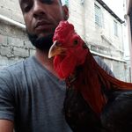 nacho antonio grullon ramierz - @nachoantoniogrullo - Instagram