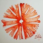 Antonio Guillén - @proyectoagua - Instagram