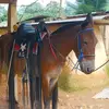 Antonio Guillen - @antonio.guillen37 - TikTok