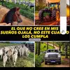 Antonio Guillen - @antonio.guillen67 - TikTok