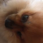 Antonio Hackers - @antoniohackers - Instagram