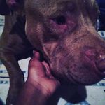 Antonio hardy - @antoniohardy3 - Instagram